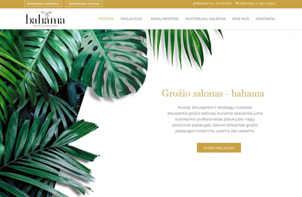 Bahama.lt – sukurta svetainė
